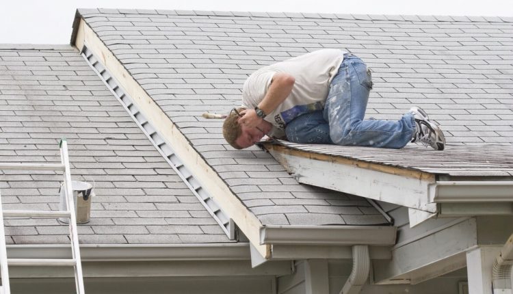 Roof Needs Repair2